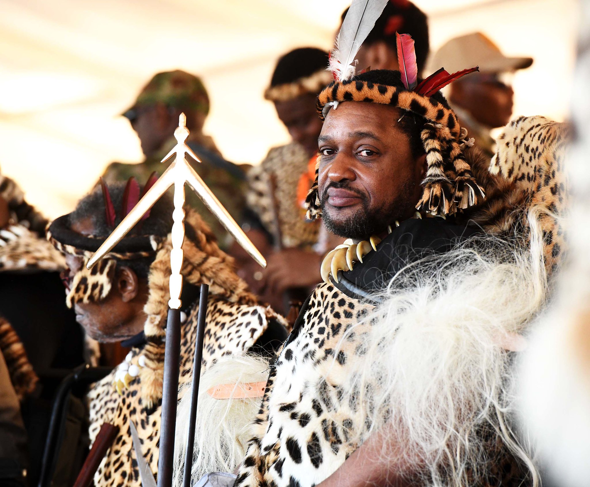 Zulu king misuluzu